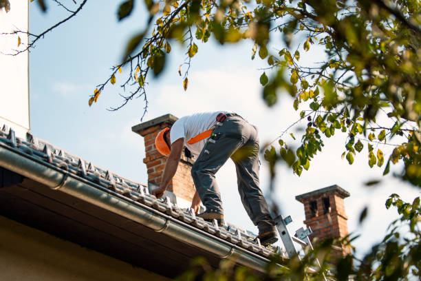 Best Roof Restoration Services  in Pine Hill, NJ
