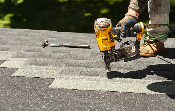 Best Roof Gutter Cleaning  in Pine Hill, NJ